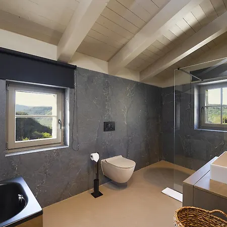 Panorama Del Tartufo For 6 People In Istria With & Truffle Hunting Experience